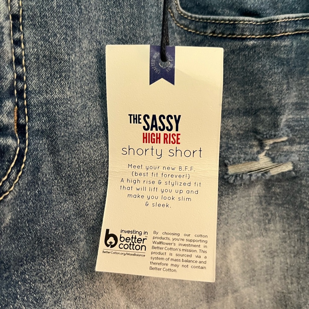 Wallflower NWT Distressed Blue Jean Shorts - Picture 3 of 9